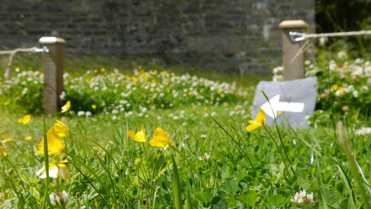 Braemore Walled Garden B&B Exteriér fotografie